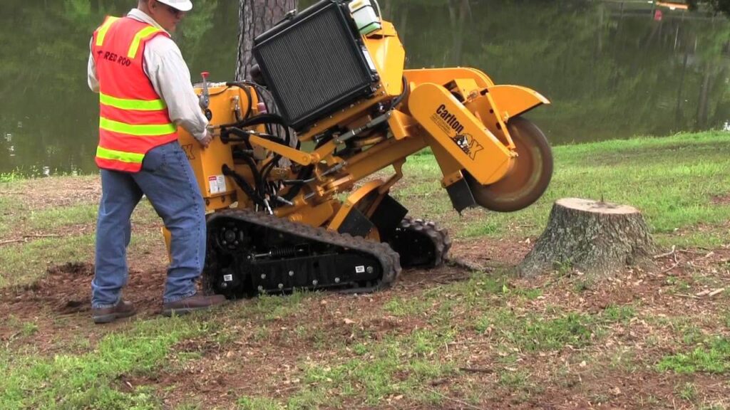 Stump Grinding Near Me