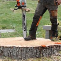 Stump Grinding Near Me: Affordable and Efficient Options