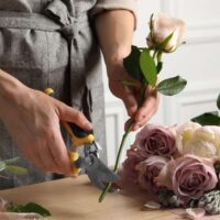 Flower Delivery Milsons Point: Fresh Flowers at Your Doorstep